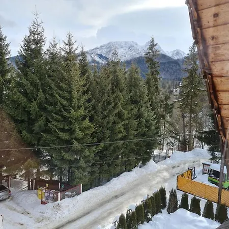 Goscinne Zosia * كوشتيليسكا